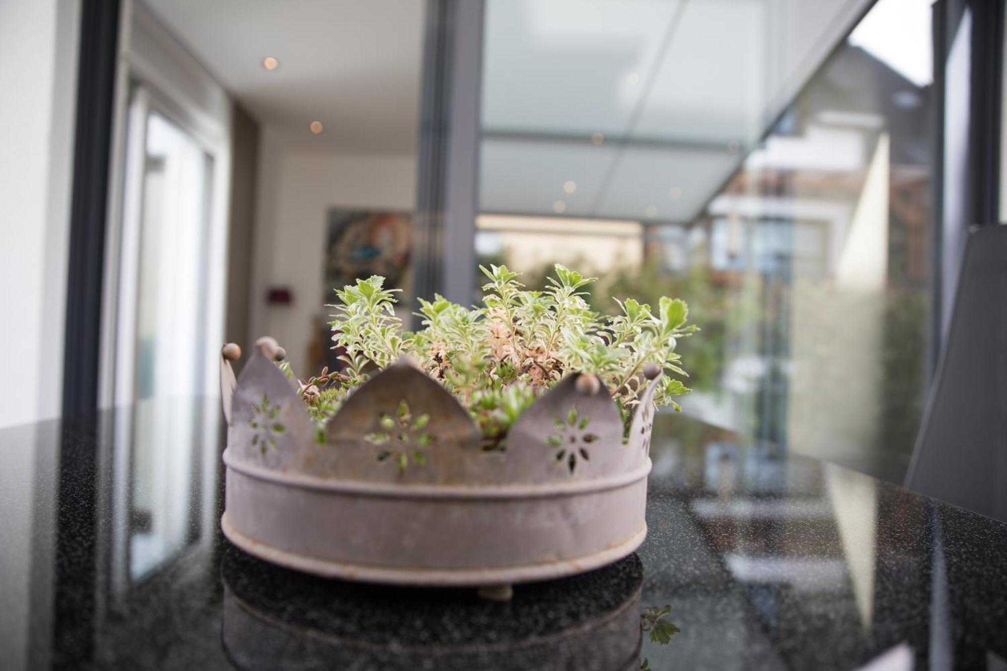 Apartamento Neu - Moselauszeit Traben Exterior foto